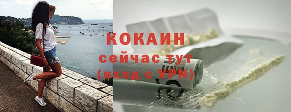 трава Карпинск