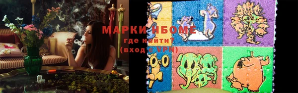 трава Карпинск