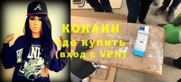 трава Карпинск